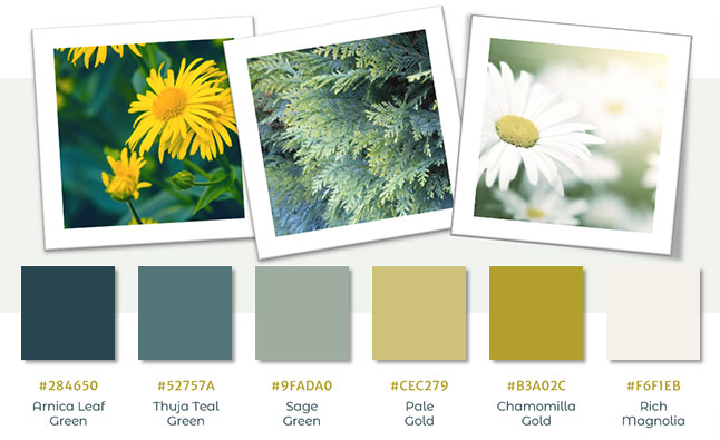 Walnut Tree Homeopathic Practice - Colour Pallette