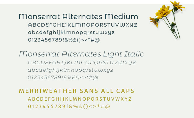 Walnut Tree Homeopathic Practice - Typography